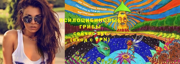 не бодяженный Магас
