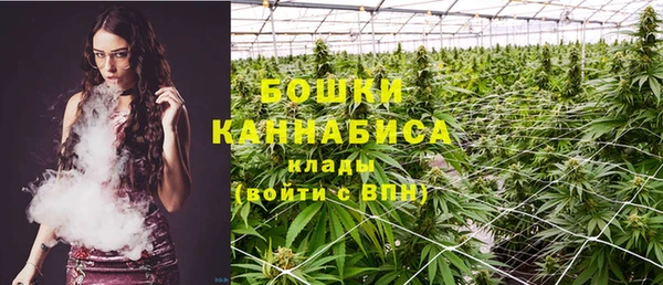 не бодяженный Магас